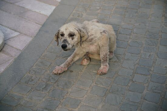 "nein, wir können Dich nicht mitnehmen"
