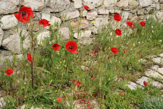 Hübsches am Straßenrand