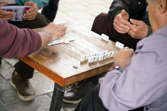 ältere Herren spielen Domino im Park