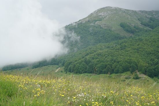 oben auf dem Pass kriechen Wolken hinter uns den Berg hinauf