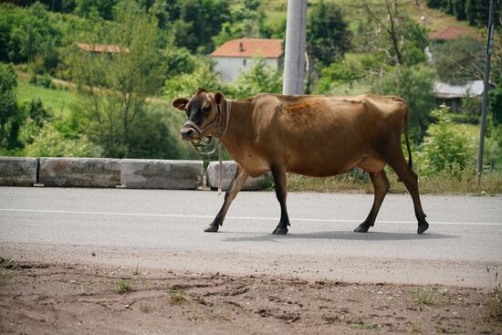 selbstbewusst kennt sie ihren Weg und geht alleine