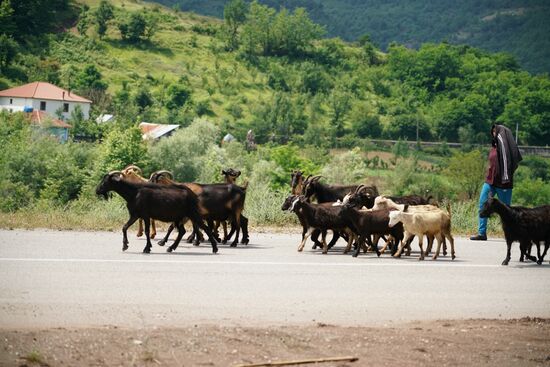 der "Kindergarten" braucht noch etwas Betreuung