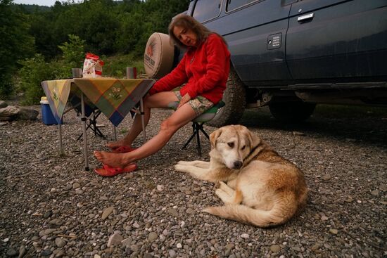 ein streunender Hund hat sich zu uns gesellt