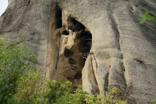 in den Höhlen haben die Mönche in jahrelanger Arbeit Holzgestelle gebaut