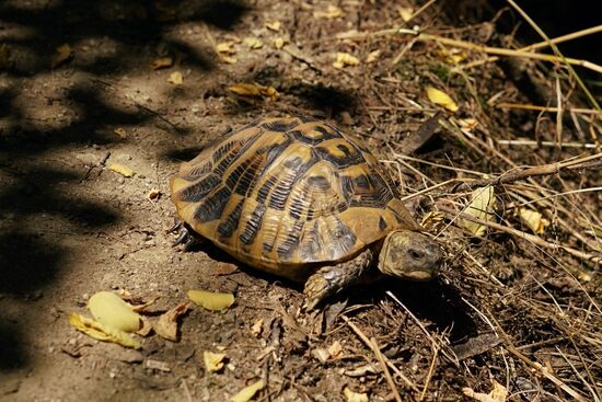 unerwartete Begegnungen unterwegs