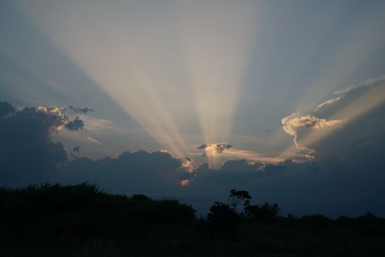 Zeus legt sich zur Ruhe