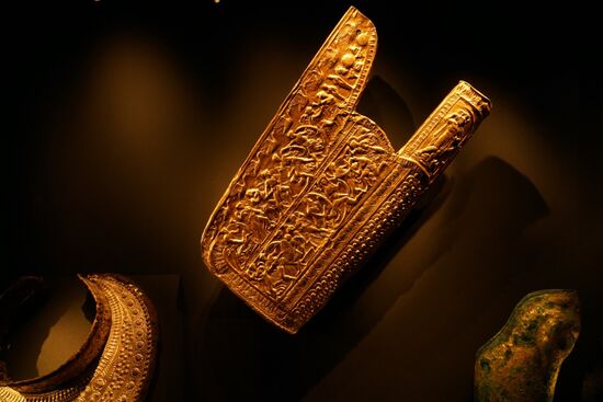 der goldene Harnisch des Königs