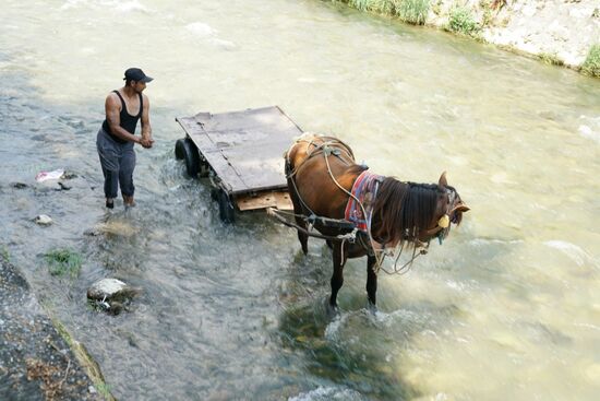 da steht ein Pferd im Fluss