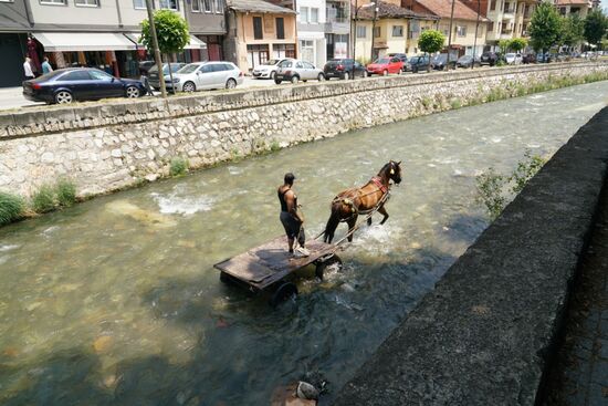 vorsichtig setzt es seine Hufe auf die glitschigen Steine