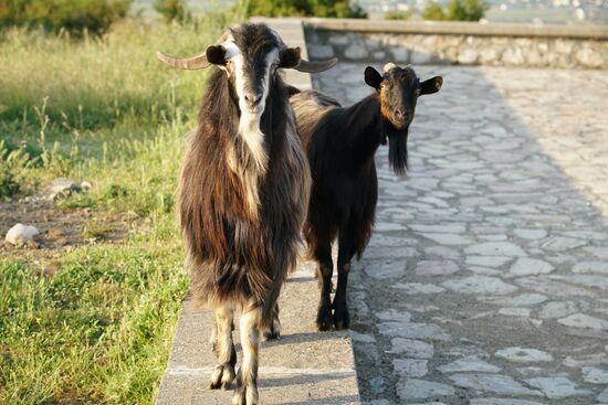 es sieht aus, als möchte jeder mit auf's Bild