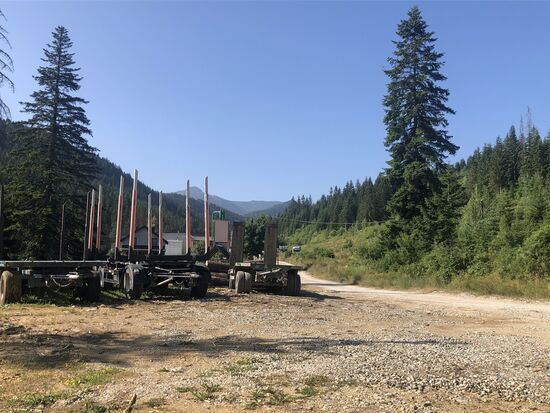 wir gesellen uns etwas im Abseits zu den Holztransportanhängern