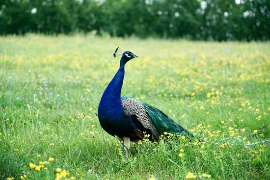 . . . bekommen wir neugierigen Besuch