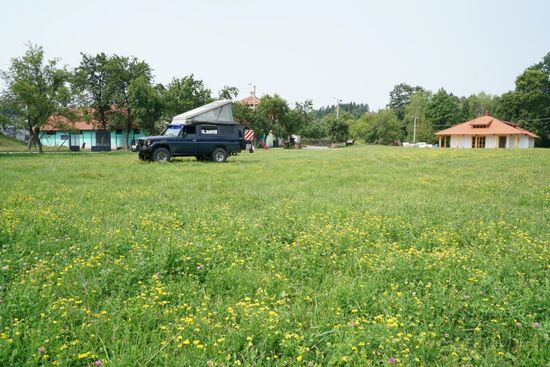 am Morgen auf der Campingwiese . . .