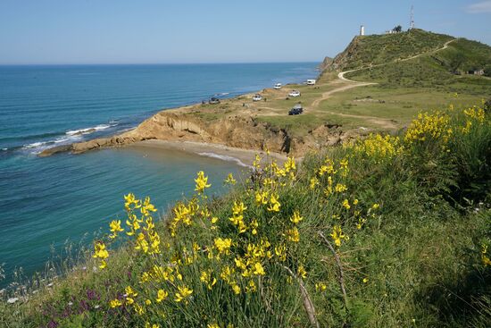 die Farben der Ginsterblüten wetteifern mit dem Blau des Meeres