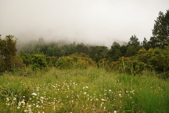 die Ausblicke auf den heutigen Sonnenuntergang verschwinden minutenschnell in den heraufziehenden Wolken