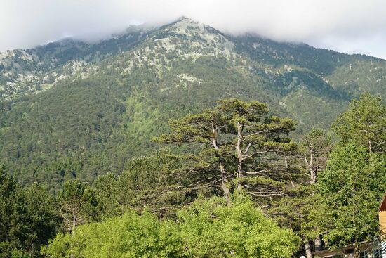 an diesem Berg entlang verläuft der heutige Wanderweg "Cäsars Pfad"