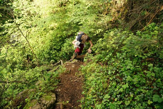 der Weg führt über Leiterstiege