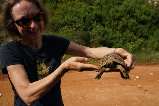 Transporthilfe von der Straße in die nächsten Büsche