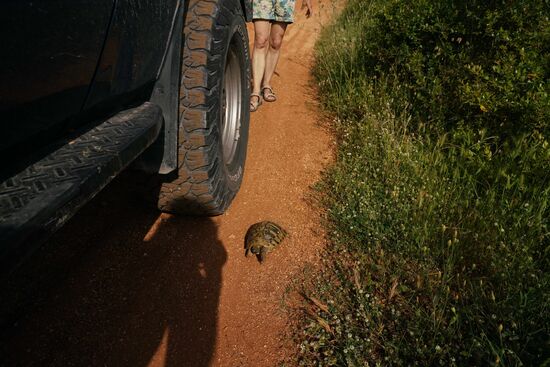 Vorsicht Wildwechsel !!!