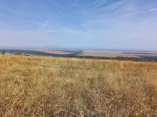 Felder in Krushovane