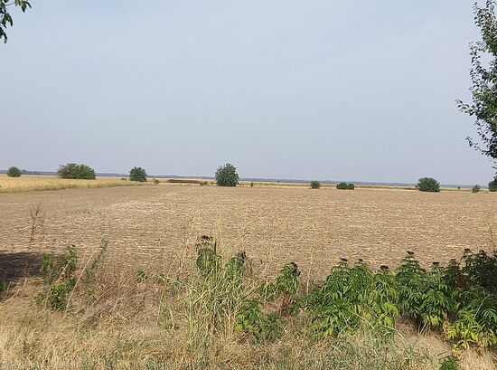 Landschaft in Gigen