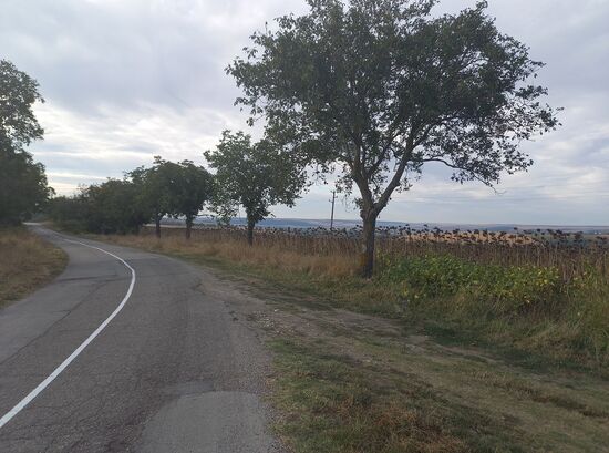 Straße nach Beltsov