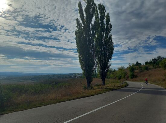 Straße kurz vor Beltsov