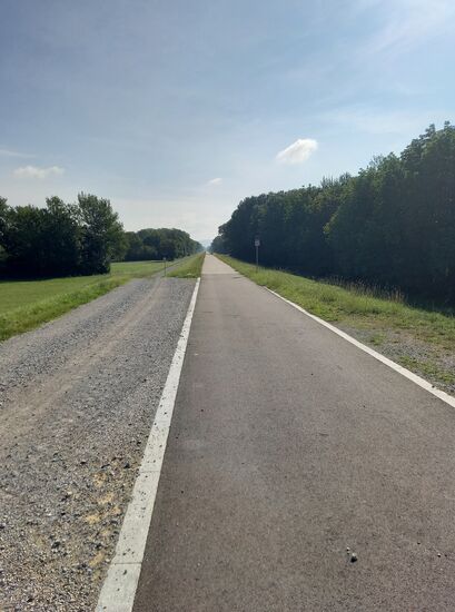Donauradweg in der Nähe von Schönau
