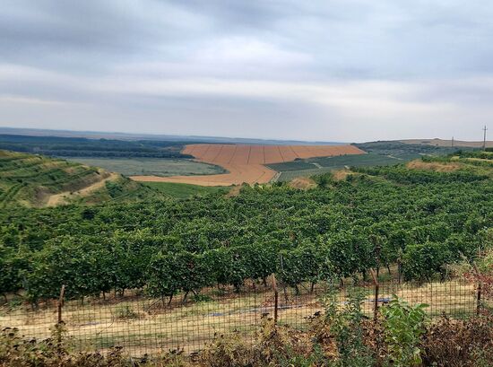Landschaft nach dem Kloster Dervent