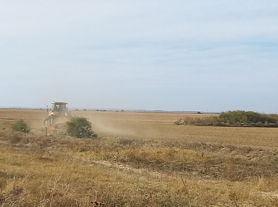 Feldarbeit in Giurgeni