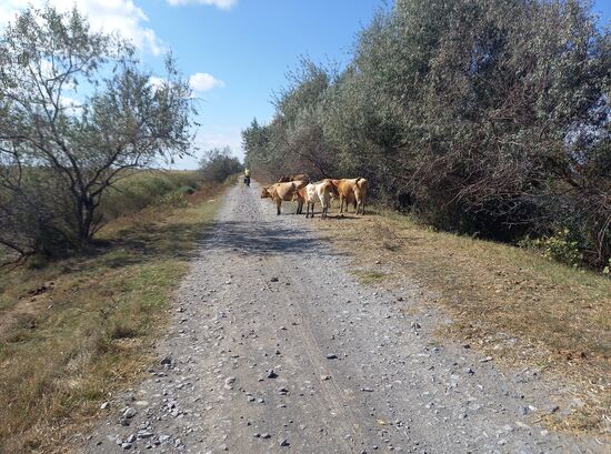 Radweg nach St. Georg