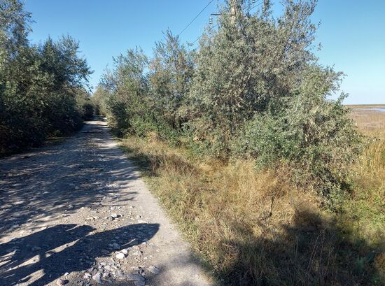 Radweg nach St. Georg