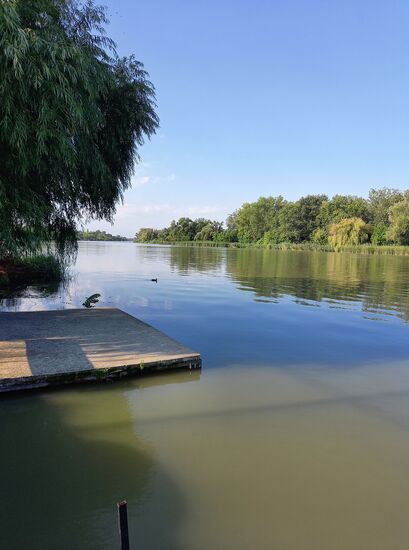 Donauarm in Dunaharaszti