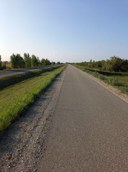 Radweg nach Solt