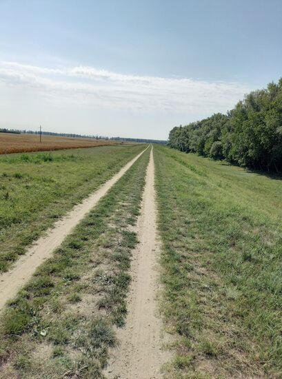 Radweg in Foktö