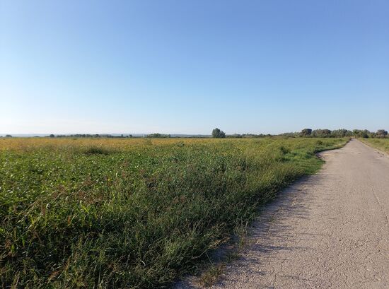 Radweg in der Nähe von Apatin