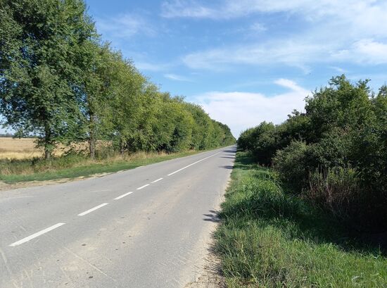 Hauptstrasse nach Backa Palanka