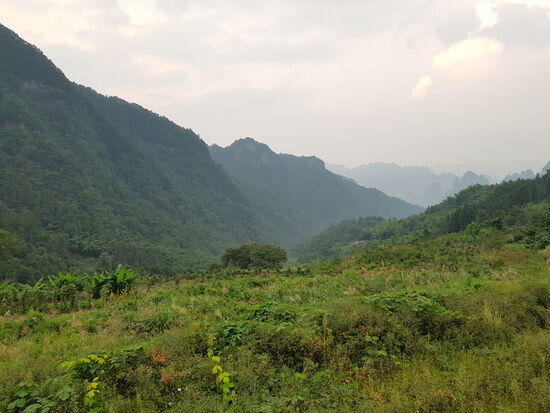Ausblick von der Terrasse unseres Hotels am Rand des Wulingyuan-Nationalparks