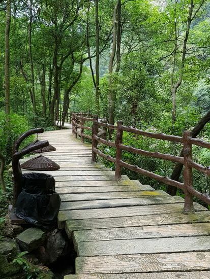 Wegbeschaffenheit im Nationalpark
