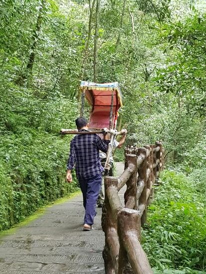 Man kann sich auch durch den Park tragen lassen...