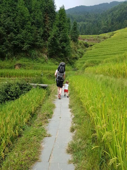 Wandern durch die Reisterrassen