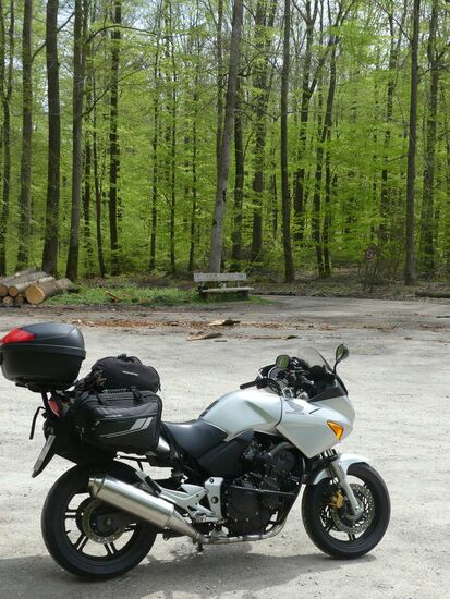 Mittagspause im Spessart