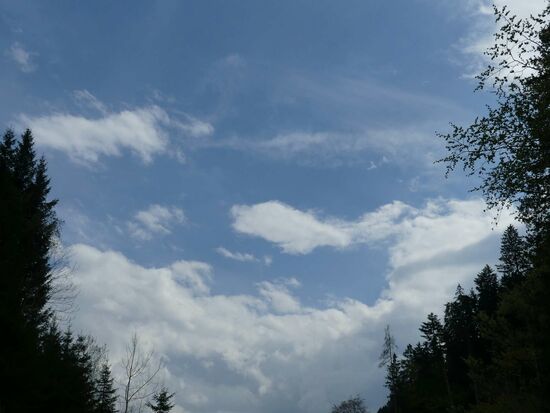 Speziell für Dirk und unsere Wetterapps  War den ganzen Tag trocken