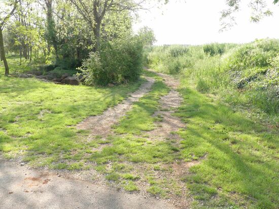 Lt. Kurviger meine Strecke