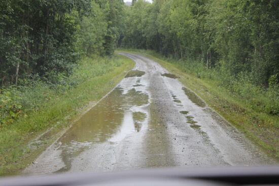 Mit erschrecken festgestellt, dass diese Fahrweise einen hohen Dieselverbrauch fordert. Ich war im letzten Ort an einer Tankstelle vorbeigefahren, weil mein Tank noch halbvoll war.
Mutig.
Jetzt zahlt sich dieser Mut nicht aus. Tank nur noch ein Viertel voll. Der Verbrauch auf den letzten 150 km von ca. 30 Liter ist dafür verantwortlich. 
Aus Mut wird Übermut!
Jetzt muss auf den nächsten 150 Kilometern eine Tankstelle her. Sonst werde ich bei meinem Übermut zum Idioten!
Glück gehabt, kein Idiot. Mit nur noch der Reserve im Tank auf eine Tankstelle gerollt. Das wird mir nicht noch einmal passieren.
Jetzt noch einen guten Platz zum Übernachten gesucht und auch gefunden. Zelt auf, zu Abendbrot gegessen und in einer Schutzhütte zum Rauchen zurückgezogen und früh zu Bett.