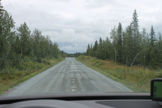 Ein Beispiel dafür: eine Piste führte über 140 Kilometer (habe mich nicht vertippt; 140 Kilometer) durch den schwedischen Wald. Kein Abzweig einer anderen Piste, immer nur geradeaus (na ja meistens) und kein Handy-Netz-Empfang. Und nach dieser Strecke war ja nicht Schluss. Noch weitere 34 km bis in den nächsten Ort (tanken nicht vergessen). Bei so viel Wald hätte ich eigentlich doch mal meinen Elch, den Bären oder Wölfe sehen können. Leider nicht. Aber es soll sie hier geben.