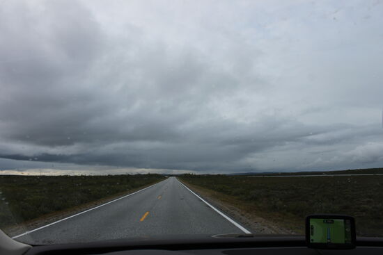 Die ganze Natur wird immer „nördlicher“. Die Bäume werden immer kleiner, manchmal sind es nur noch Büsche und das Land gleicht sich meiner Vorstellung vom Norden Europas immer mehr an.