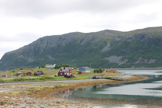 Aber die nächsten 100 km waren einfach nur die WUCHT. Immer an der Küstenlinie entlang, Serpentinen rauf und runter, Tunnel von bis zu 7 km Länge (wer Platzangst hat, wird das Nordkap nie erreichen) und hinter jeder Kurve oder Kuppe ein neues schönes Panorama.