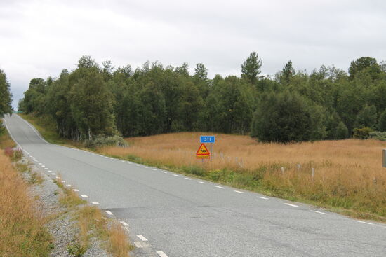 Es ist jetzt 16.41 Uhr und ich gebe diesen Streckenabschnitt auf. Fast 300 km Umwege gefahren und die nächste Streckensperrung ist da. Brückenbauarbeiten. Wieder ein Umweg von 45 Kilometern würde mich zwar wieder auf die Originalstrecke der DISTL bringen aber die dann noch fehlenden 270 km der Tagesetappe sind damit nicht mehr zu schaffen.
Meine erste Pause eingelegt, beruhigt und noch einmal nachgedacht. 270 km Reststrecke bei einem 40 km/h-Schnitt sind in etwa noch einmal gute 7 Stunden Fahrzeit. Es ist jetzt 17 Uhr plus 7 Stunden gleich Mitternacht, wenn dann alles glatt läuft und man die Schnittgeschwindigkeit in der Dunkelheit überhaupt schaffen kann. Also habe ich diesen Streckenabschnitt aufgegeben und mache mich, gar nicht DISTL-like, auf den direkten Weg zum Etappenziel.