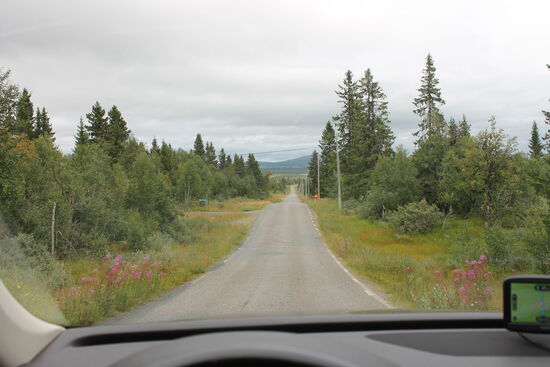 19.30 Uhr Ankunft und der Übernachtungsplatz ist gut gewählt. Hier werde ich nächtigen. Allerdings noch einmal ins nächste Dorf gefahren (sind ja nur 12 Kilometer) und Mutti und Ina angerufen. Beide freuen sich von mir zu hören. Mutti verspricht Gabi und Patti zu informieren, dass es mir gut geht. Das war das Beste vom ganzen Tag.
